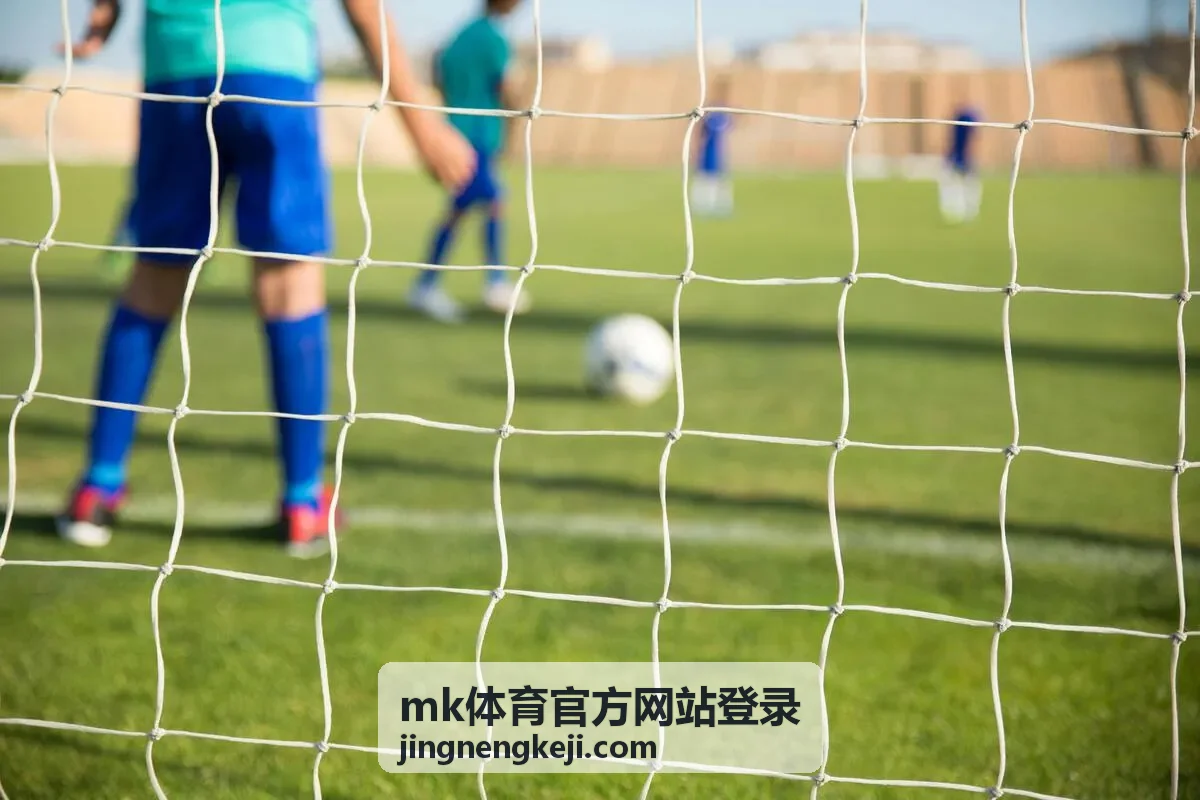 mk体育官方网站登录官方入口地址核对方式